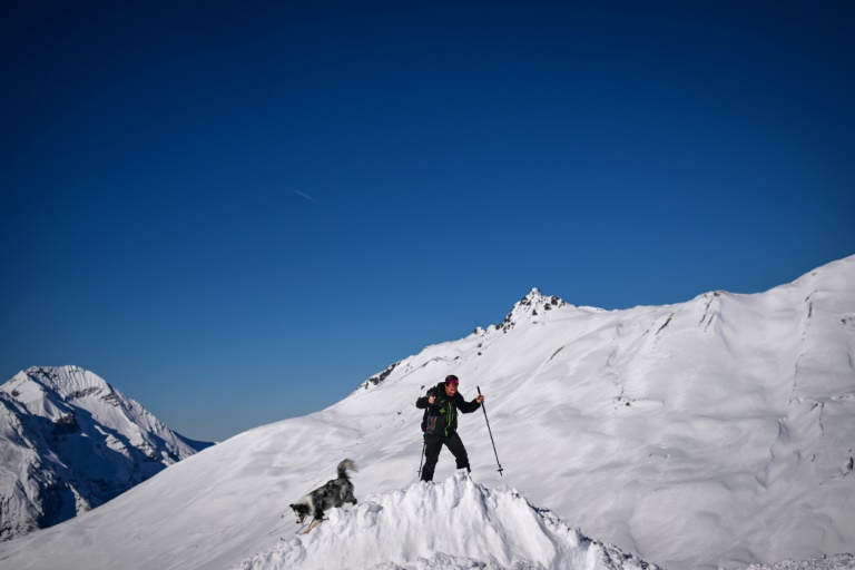 Un chien d'avalanche et un sauveteur participent à un entraînement à la station de ski de La Rosière, le 4 février 2025 en Savoie