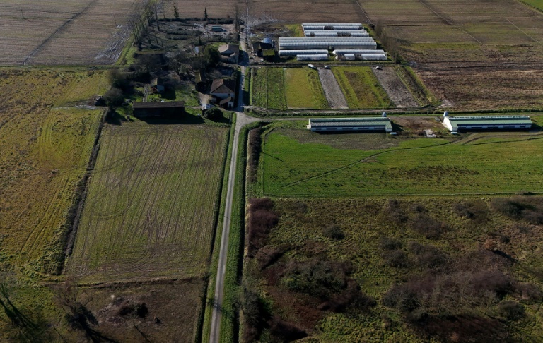 Vue aérienne de l'exploitation agricole de Jérôme Caze à Meilhan-sur-Garonne, dans le sud-ouest de la France, le 23 janvier 2025