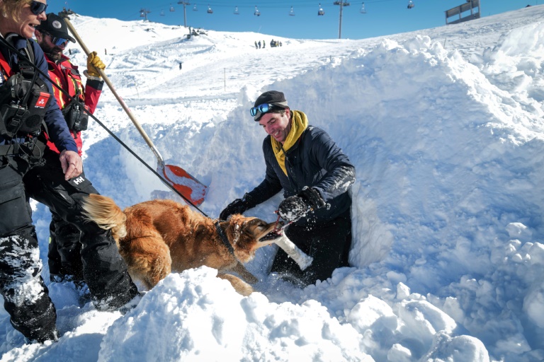 Un chien d'avalanche, des sauveteurs et des pisteurs participent à un entraînement à la station de ski de La Rosière, le 4 février 2025 en Savoie