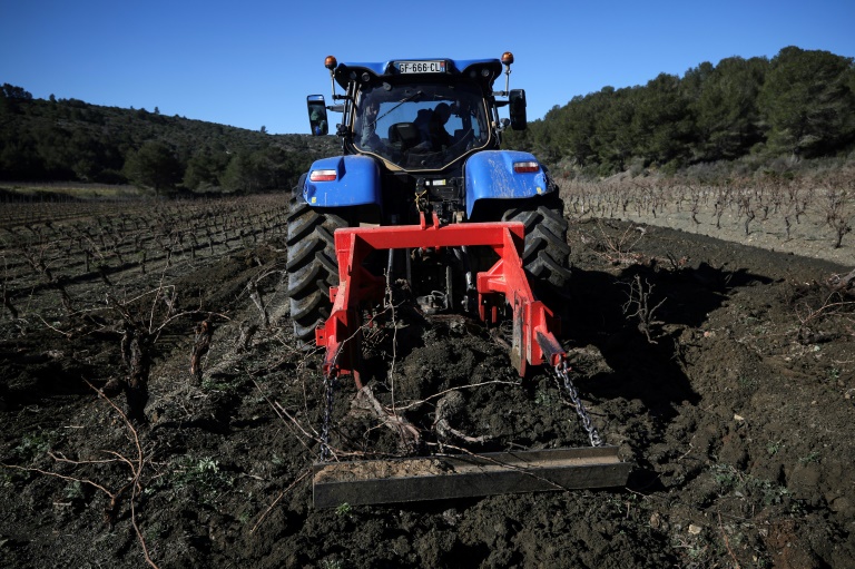 Un tracteur, équipé d'un outil pour arracher les vignes, dans un champ à Roquefort-des-Corbières, le 3 février 2025 dans l'Aude