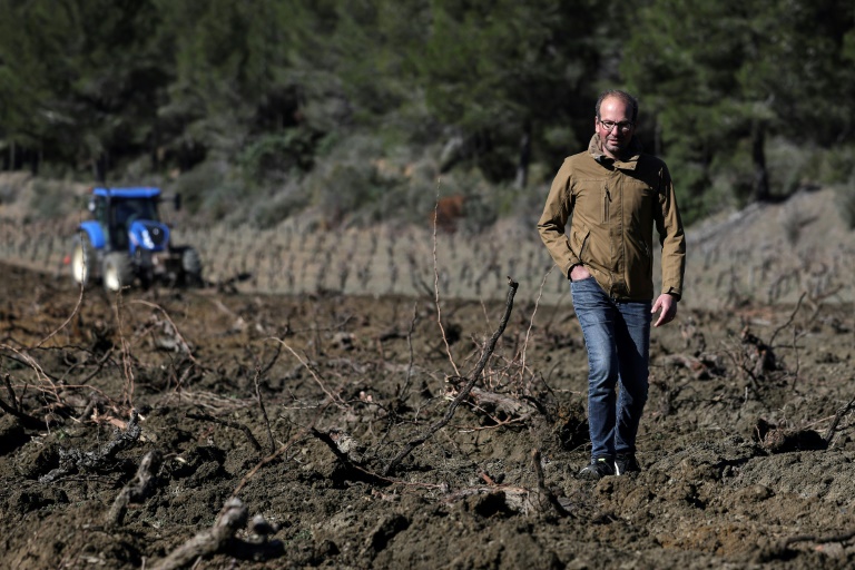 Le viticulteur Jean-Pierre Fournier dans son champ à Roquefort-des-Corbières, le 3 février 2025 dans l'Aude