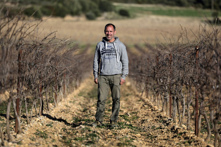 Le viticulteur Nicolas Castan dans son champ de vignes à Roquefort-des-Corbières, le 3 février 2025 dans l'Aude