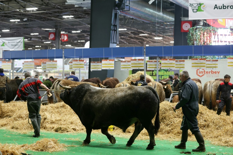 L'ouverture du Salon de l'agriculture à Paris le 22 février 2025