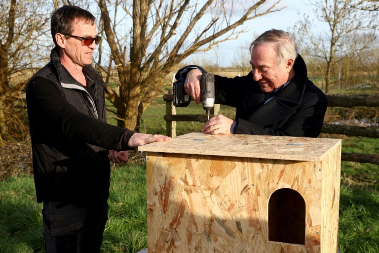 Le président de la Ligue pour la protection des oiseaux (LPO), Allain Bougrain-Dubourg (d) et Hugues des Touches, propriétaire de la ferme de la Dixmerie, finalisent l'installation d'un nichoir à chouettes effraies, le 27 février 2025 à Triaize, en Vendée