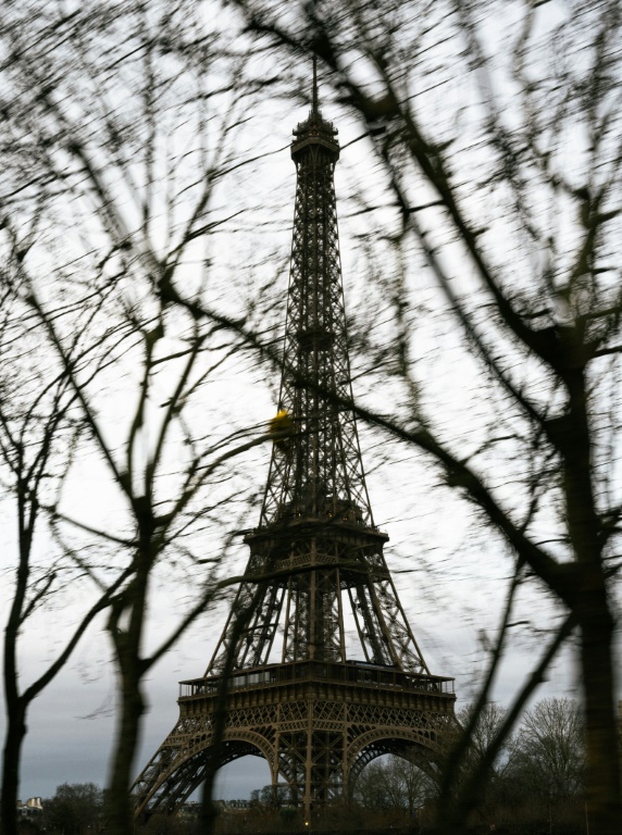 Vue de la Tour Eiffel à travers les arbres à Paris, le 26 janvier 2025