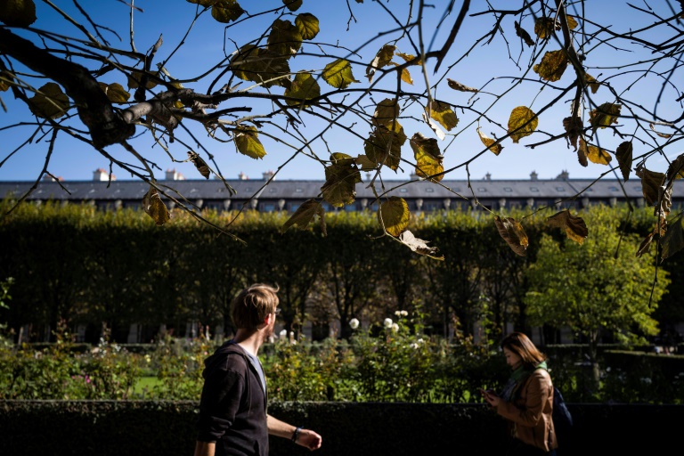 Dans les jardins du Palais Royal, le 8 octobre 2018 à Paris