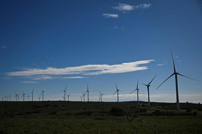 Un parc éolien à Aumelas, à l'ouest de Montpellier, le 12 mars 2025 dans l'Hérault