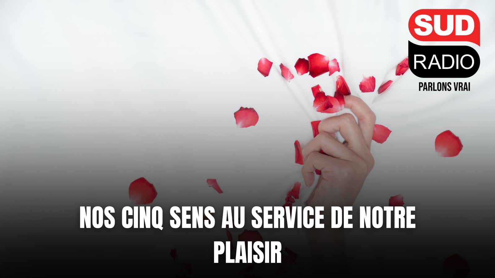 Nos cinq sens au service de notre plaisir