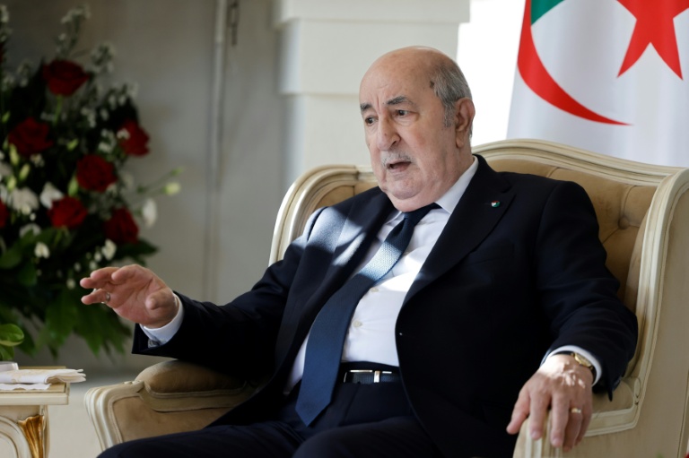 Le président algérien Abdelmadjid Tebboune s'entretient avec son homologue français Emmanuel Macron, le 13 juin 2024 à Savelletri en Italie