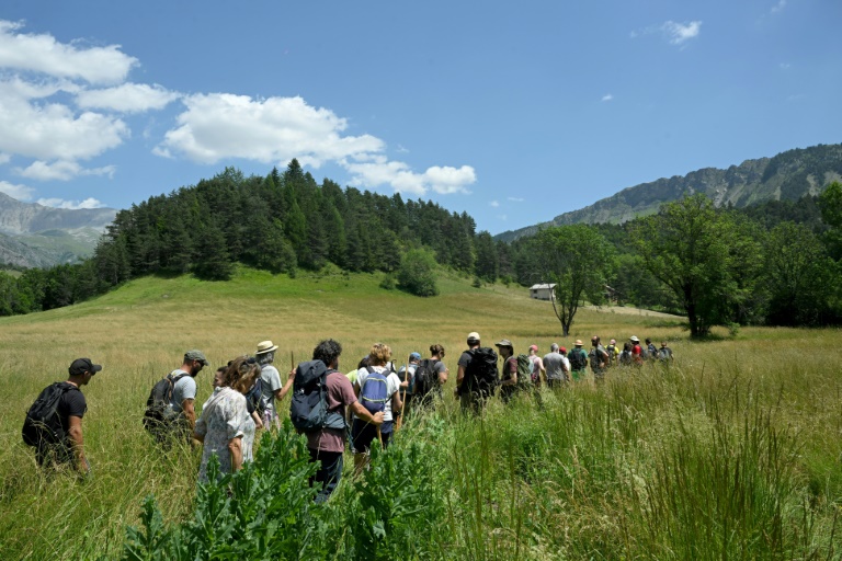 Des bénévoles participent à l'opération de recherche d'Emile, deux ans et demi, porté disparu depuis deux jours, le 10 juillet 2023 au Vernet, dans les Alpes-de-Haute-Provence