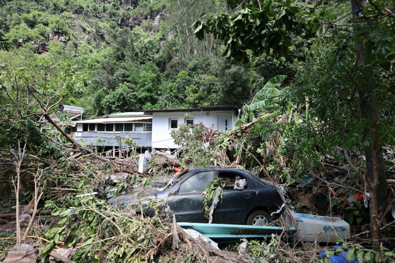 Une épave de voiture au milieu d'un amas de branchages tombés pendant le cyclone Garance à La Colline, près de Saint-Denis de La Réunion, le 2 mars 2025